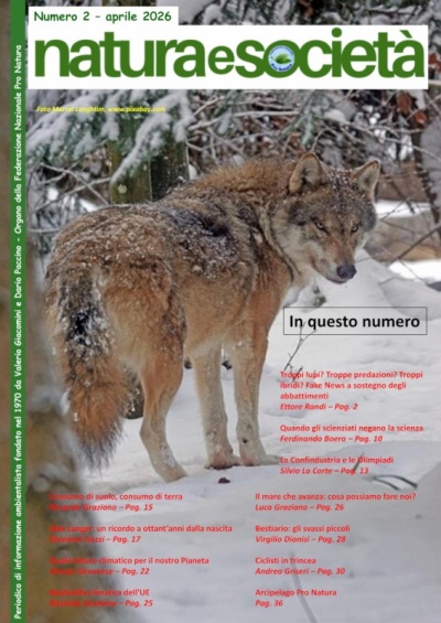 Clicca per aprire il pdf