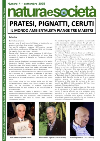 Clicca per aprire il pdf